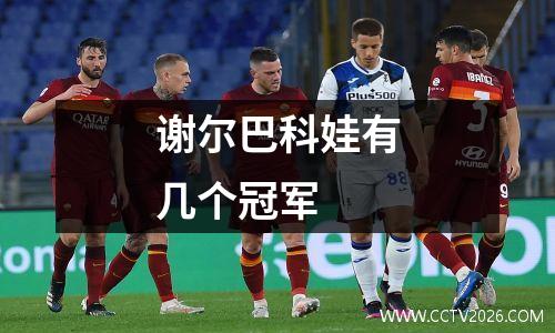 谢尔巴科娃有几个冠军