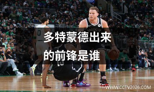 霍芬海姆的黄金时代：德甲争冠路上的挑战者 霍芬海姆有没有拿过德甲冠军