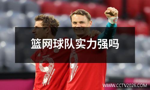 篮网球队实力强吗