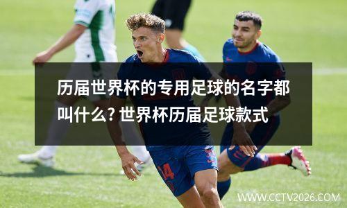 历届世界杯的专用足球的名字都叫什么? 世界杯历届足球款式