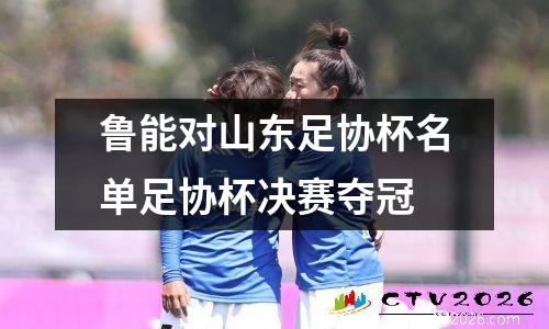 鲁能对山东足协杯名单足协杯决赛夺冠