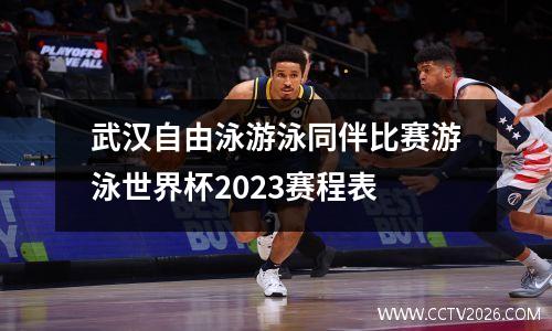 武汉自由泳游泳同伴比赛游泳世界杯2023赛程表