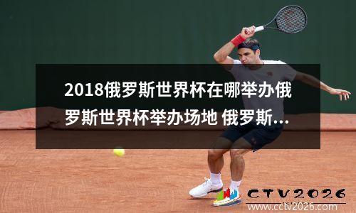 2018俄罗斯世界杯在哪举办俄罗斯世界杯举办场地 俄罗斯世界杯圣彼得堡体育场