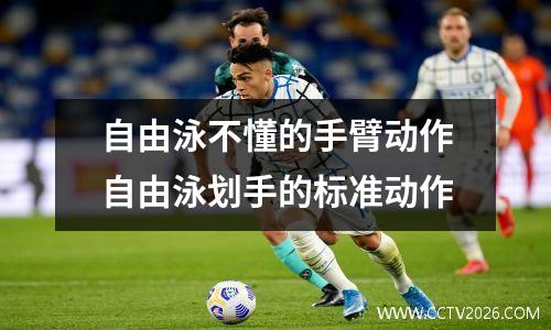 自由泳不懂的手臂动作自由泳划手的标准动作