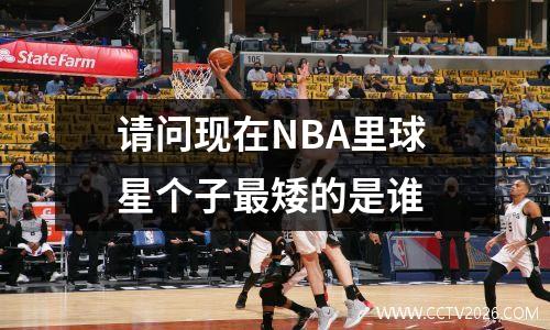 请问现在NBA里球星个子最矮的是谁