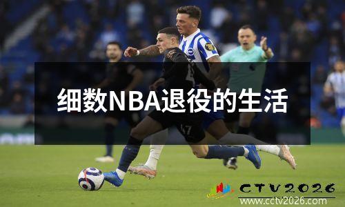 细数NBA退役的生活