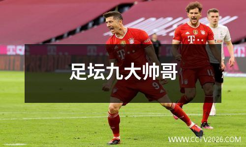 足坛九大帅哥