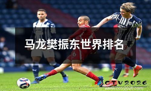 马龙樊振东世界排名