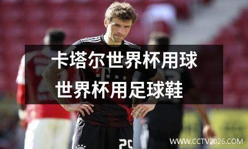 卡塔尔世界杯用球 世界杯用足球鞋