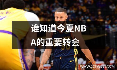 谁知道今夏NBA的重要转会