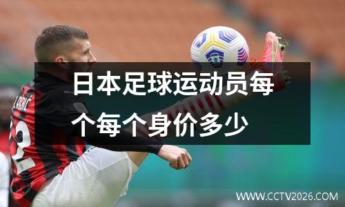 日本足球运动员每个每个身价多少
