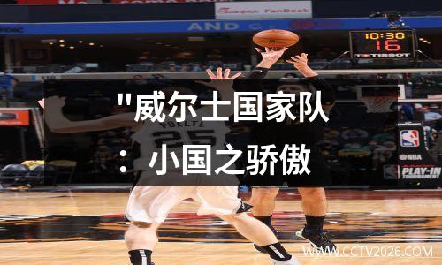 "威尔士国家队：小国之骄傲