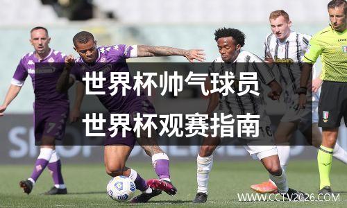 世界杯帅气球员 世界杯观赛指南
