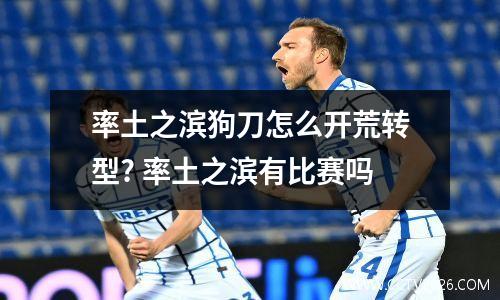 率土之滨狗刀怎么开荒转型? 率土之滨有比赛吗