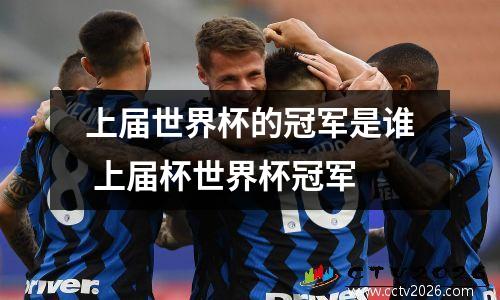 上届世界杯的冠军是谁 上届杯世界杯冠军