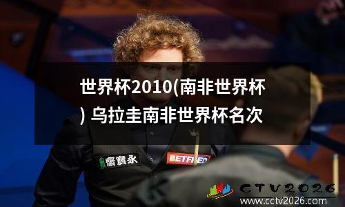 世界杯2010(南非世界杯) 乌拉圭南非世界杯名次