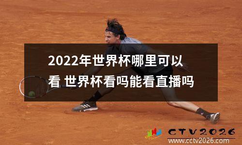 2022年世界杯哪里可以看 世界杯看吗能看直播吗
