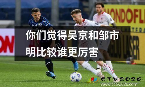 你们觉得吴京和邹市明比较谁更厉害