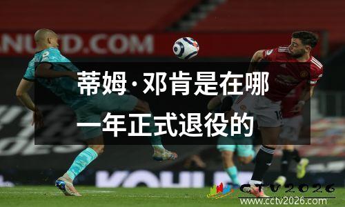 蒂姆·邓肯是在哪一年正式退役的