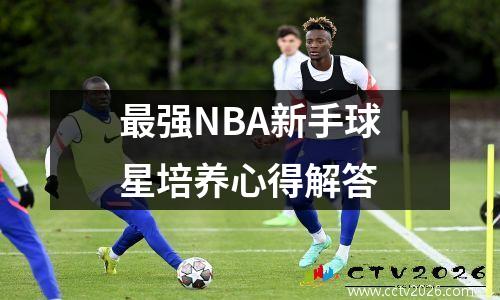 最强NBA新手球星培养心得解答