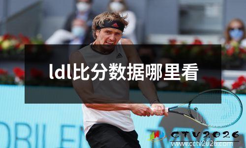 ldl比分数据哪里看