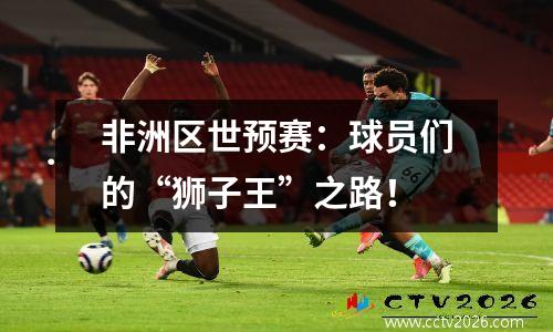 非洲区世预赛：球员们的“狮子王”之路！