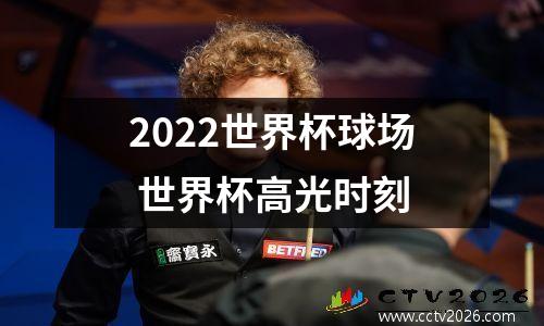 2022世界杯球场 世界杯高光时刻