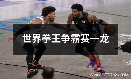 世界拳王争霸赛一龙