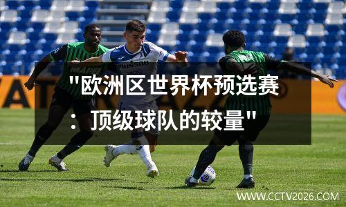 "欧洲区世界杯预选赛：顶级球队的较量"