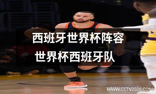 西班牙世界杯阵容 世界杯西班牙队