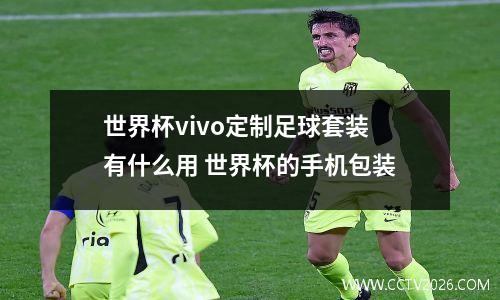 世界杯vivo定制足球套装有什么用 世界杯的手机包装