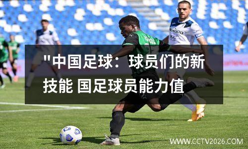 "中国足球：球员们的新技能 国足球员能力值