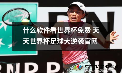 什么软件看世界杯免费 天天世界杯足球大逆袭官网