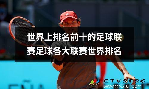 世界上排名前十的足球联赛足球各大联赛世界排名