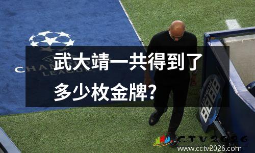 武大靖一共得到了多少枚金牌?