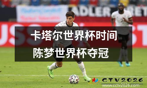 卡塔尔世界杯时间 陈梦世界杯夺冠