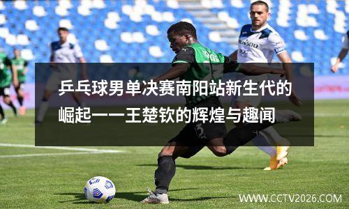 乒乓球男单决赛南阳站新生代的崛起一一王楚钦的辉煌与趣闻