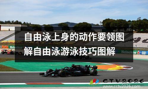 自由泳上身的动作要领图解自由泳游泳技巧图解