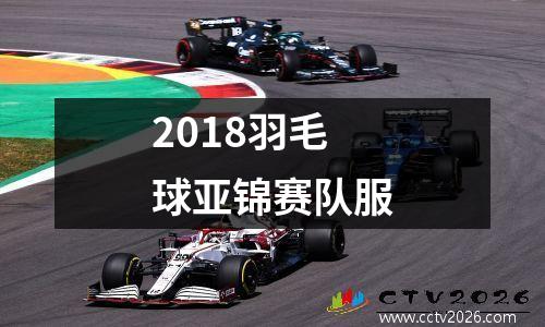 2018羽毛球亚锦赛队服