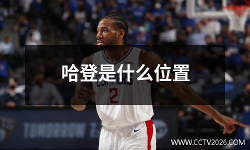 哈登是什么位置
