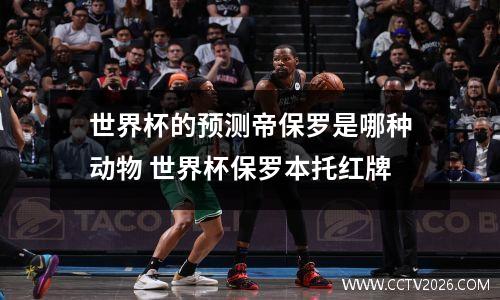 "热血对决！国际米兰vs皇马