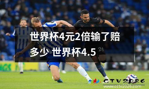 世界杯4元2倍输了赔多少 世界杯4.5