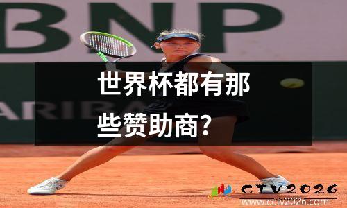 世界杯都有那些赞助商?
