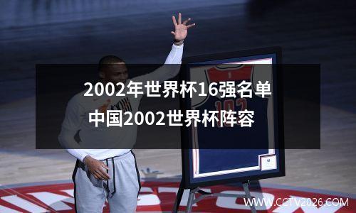 2002年世界杯16强名单 中国2002世界杯阵容