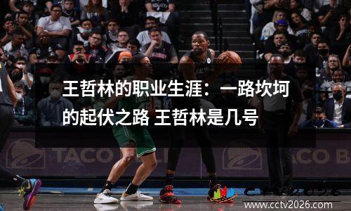 王哲林的职业生涯：一路坎坷的起伏之路 王哲林是几号