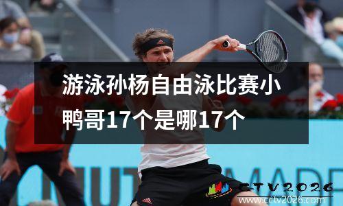 游泳孙杨自由泳比赛小鸭哥17个是哪17个