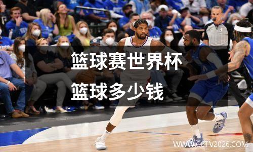 篮球赛世界杯篮球多少钱