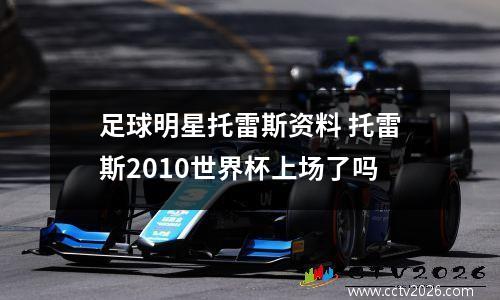 足球明星托雷斯资料 托雷斯2010世界杯上场了吗