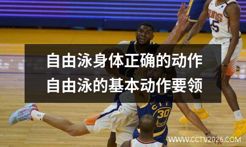 自由泳身体正确的动作自由泳的基本动作要领