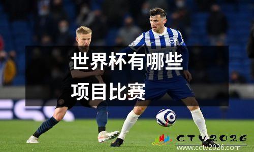 世界杯有哪些项目比赛